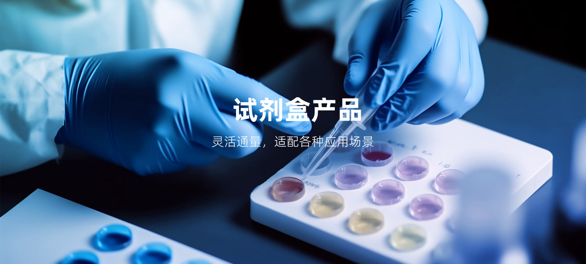 試劑盒產(chǎn)品